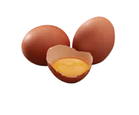 Fresh eggs