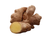 Jengibre