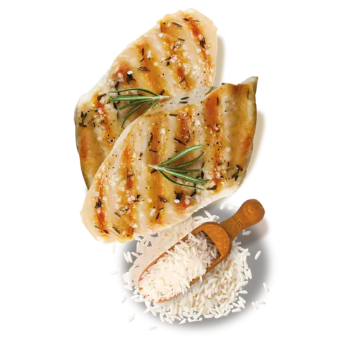 Ingredientes principais: frango e arroz