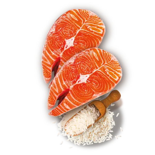 Ingredientes principais: salmão e arroz