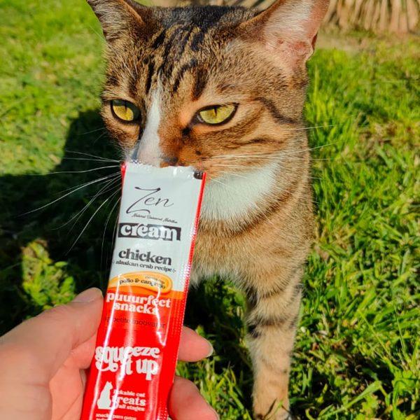 Gato atigrado en jardín oliendo un stick Dapac Zen Cream de pollo y cangrejo.