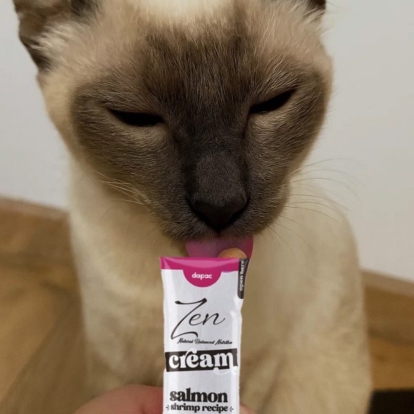 Gato siamés lamiendo un stick rosa de Zen Cream sabor salmón y gambas; primer plano con fondo desenfocado